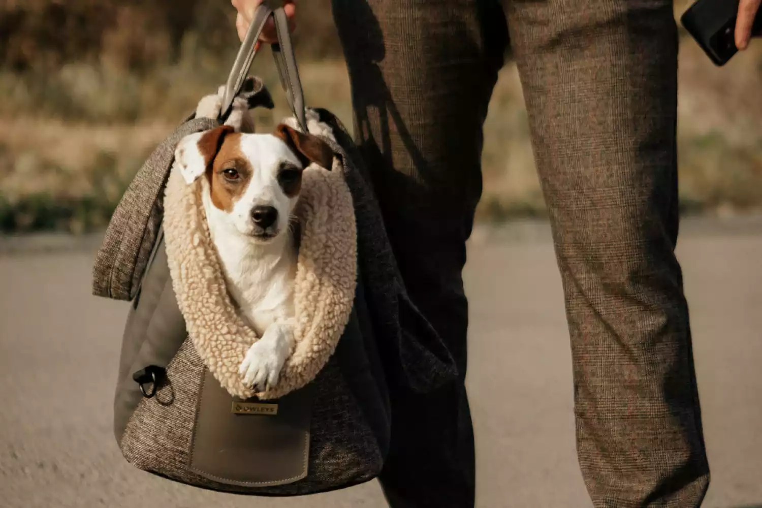 Dog Carrier Purse for Miniature Pinscher